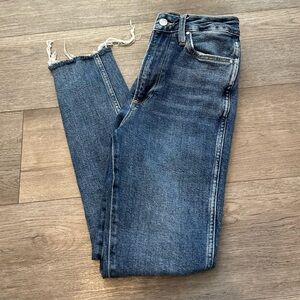 Anine Bing Blue Skinny Jeans